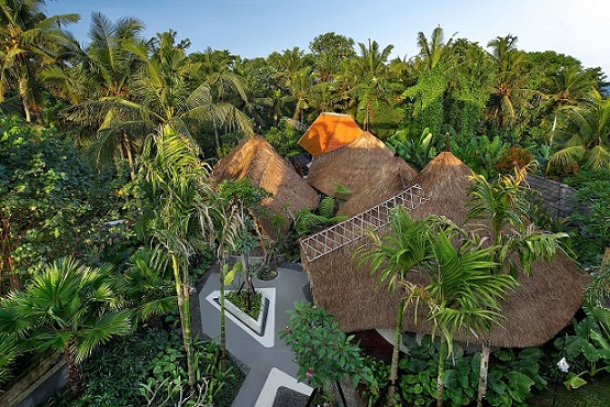 Amarea Resort Ubud Ampuh Sebagai Tempat Healing dan Honeymoon